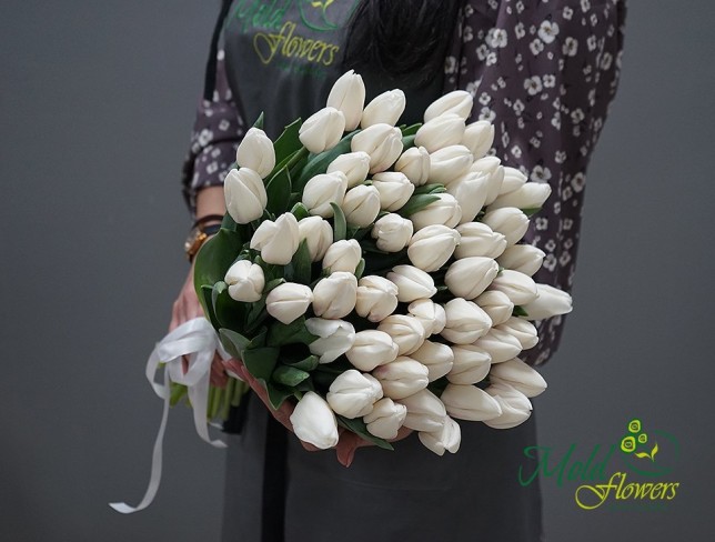 Тюльпан белый голландский Фото